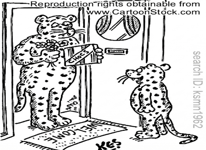 The Leopard cannot change its spot |DotConnectAfrica